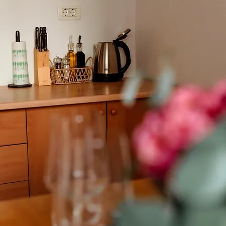 Gorishka Apartment Laibach